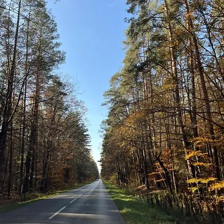 Siedlisko pod Lasem Jozefow  Zewnętrze zdjęcie